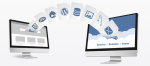 Website Transfer Service